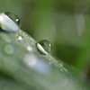 雨の日は・・・65sgg。