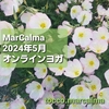 2024年5月 女性専用オンラインヨガクラス