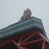 ☆札幌雪祭り！！in大通り公園　　ｂｙ風の旅人　　ラスカル・・テレビの取材を受けたの巻～！！
