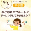 阪神甲子園｜ららぽーと甲子園の島村楽器で2025年6月1日（日）体験レッスン『あこがれのフルートにチャレンジしてみませんか？』開催！