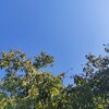 【高校受験】知らなかった・・高校受験では英検を早めにとっておくと有利です（その３）