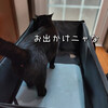 前回に続いてまたしても！！