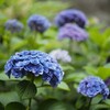 visoflex（Typ.020）が修理から戻ってきた