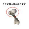 骨の身体がわかると　合った動きを見つけやすい