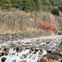 流れに抗わないほうが、なぜかうまくいったりする。