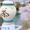 【ラグジュアリースイートで妄想気分も上々(^O^)】自宅でゆったりYouTubeで佐賀県・嬉野温泉へ ぜいたくで優雅な大人の旅行気分?! ≪めちゃ推しYouTube≫
