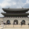 【韓国2026年6月の光化門】〜世宗大王に会いに行こう〜