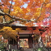 嵐山から嵯峨野へ　残り紅葉を満喫　その２　常寂光寺の紅葉