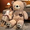 【癒やし効果絶大】BEARS'HOMEの巨大くまぬいぐるみは、孤独な夜の最高の相棒！