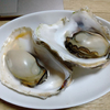岩牡蠣