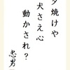 夕焼けや犬さえ心動かされ？