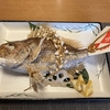 思い出の場所でお食い初め