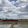 A red train running through rice fields.