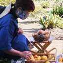 吉浜農園🌱季節の台所