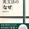 今日の活動記録