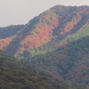紅葉狩り旅か？ ５泊６日のぼっち車中泊旅【59】（2023年11月7日～12日）
