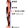 1日たったの20秒意識するだけでいいんです！