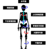 運動連鎖の臨床の考え方！！