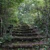 苔むした階段