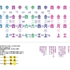 黒島口説 工工四 三線教室 Online 東京 By 豊岡マッシー 黒島口説 工工四 三線教室 Online 東京 By 豊岡マッシー