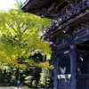 筑波山神社（２年前）
