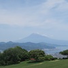 日本平と富士川SA　Fuji Sky View