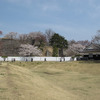 桜見2013 小峰城から鶴ヶ城へ