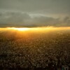 雨上がりの夕焼けを撮りに、スカイツリーの展望台に登ってきました