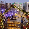 20231124 Christmas Market Kumamoto