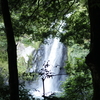 夏の滝と苔がある風景（マクロ撮影・八反の滝付近／兵庫県豊岡市日高町@神鍋高原）