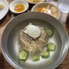 【ソウル】ノンヒョン「平壌麺屋」の感動の冷麺（2023.10）