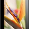 Huawei MediaPad 7 Youth WiFi 8GB S7-701wa