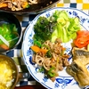 牛肉とレンコンとカボチャの炒めもの　ワンコと一緒に桜を見に行ってきた