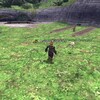 FF11 裏ザルカ 実験的にシーフソロ