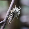 ぼうけんだ　大伽藍に宝玉を探す