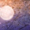 2019年4月19日天秤座満月のスピリチュアルメッセージ【本質と真の目覚めの時】