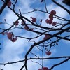 悲鳴と怒号からのハッピーエンディング