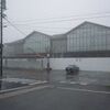 雨に歩けば