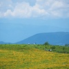 ▲八島湿原・車山(1,925m)　2022年7月11日