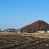 初冬の太郎坊山その２(滋賀県東近江)