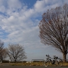 データの収集を始めた。