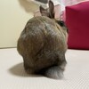 隠し撮りのつもりが