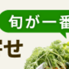 ブログをはじめて3か月　～現在の状況～