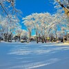  雪の日（１）～つくば市とその周辺の風景写真案内（６４７）