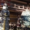 善養密寺参拝しました