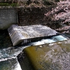 こういうのを見ていると東京都と神奈川県の河川に対する姿勢が分かる