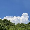 暑くて震える。環境変動激しすぎ！