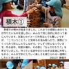2025年1月27日 アートフェスに向けて 積木①