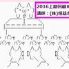 恒例！子猫会議