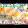 生キャベツを冷凍！みきママの作り置き万能野菜を真似してみた